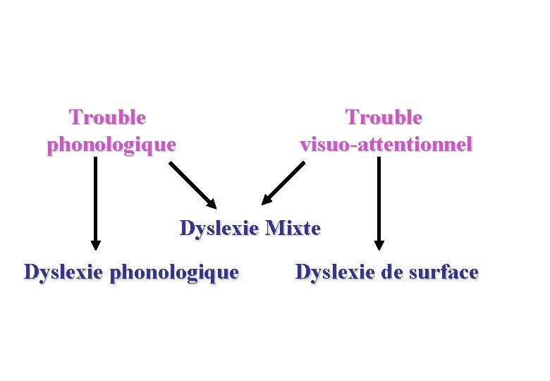 Trouble phonologique Trouble visuo-attentionnel Dyslexie Mixte Dyslexie phonologique Dyslexie de surface 
