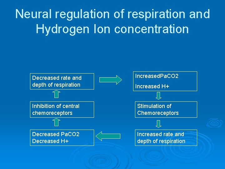 Neural regulation of respiration and Hydrogen Ion concentration Decreased rate and depth of respiration