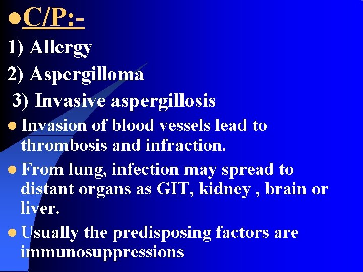 l. C/P: 1) Allergy 2) Aspergilloma 3) Invasive aspergillosis l Invasion of blood vessels