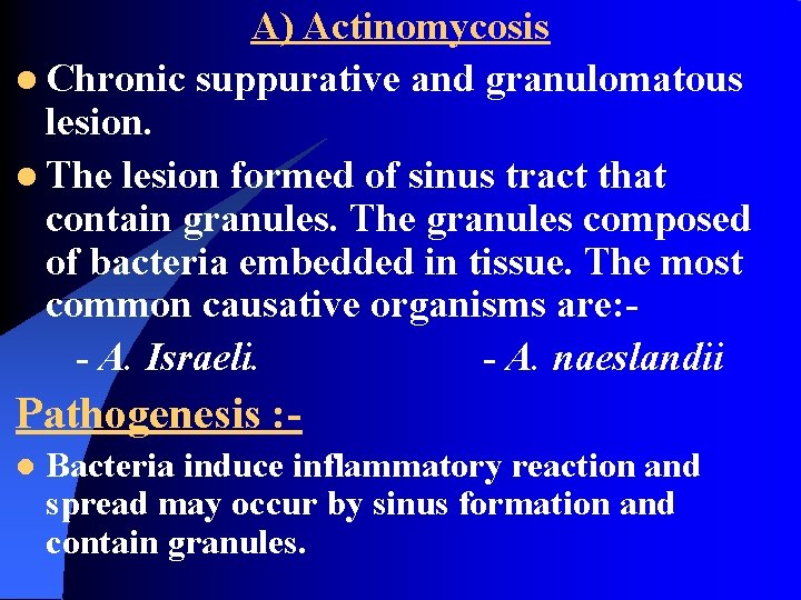 A) Actinomycosis l Chronic suppurative and granulomatous lesion. l The lesion formed of sinus