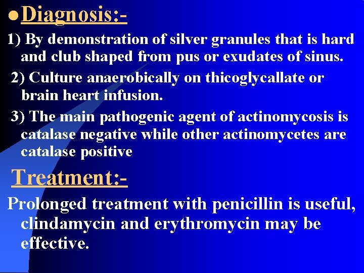 l Diagnosis: 1) By demonstration of silver granules that is hard and club shaped