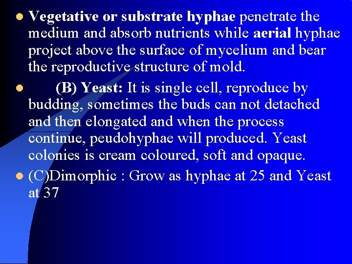 Vegetative or substrate hyphae penetrate the medium and absorb nutrients while aerial hyphae project