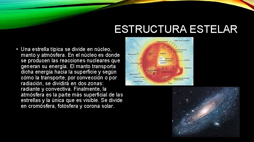 ESTRUCTURA ESTELAR • Una estrella típica se divide en núcleo, manto y atmósfera. En