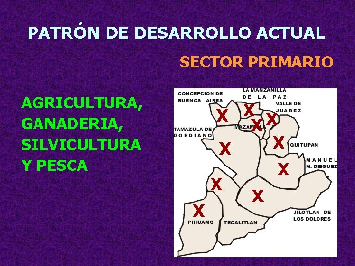PATRÓN DE DESARROLLO ACTUAL SECTOR PRIMARIO AGRICULTURA, GANADERIA, SILVICULTURA Y PESCA X X X