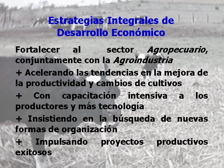 Estrategias Integrales de Desarrollo Económico Fortalecer al sector Agropecuario, conjuntamente con la Agroindustria +