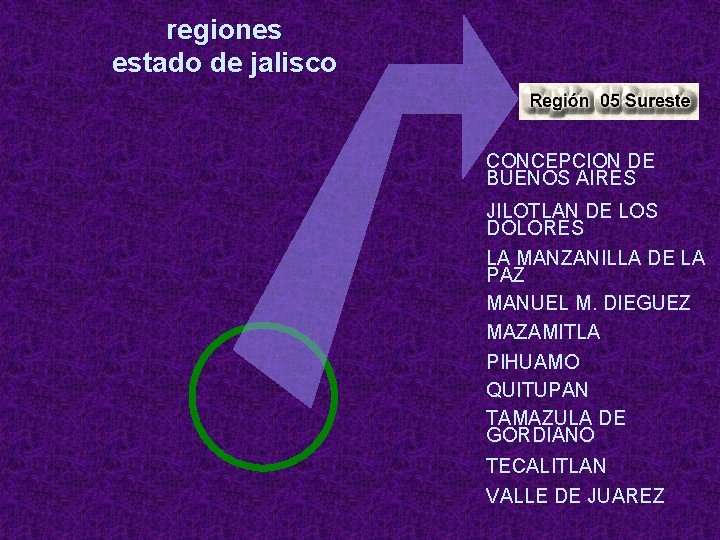 regiones estado de jalisco CONCEPCION DE BUENOS AIRES JILOTLAN DE LOS DOLORES LA MANZANILLA