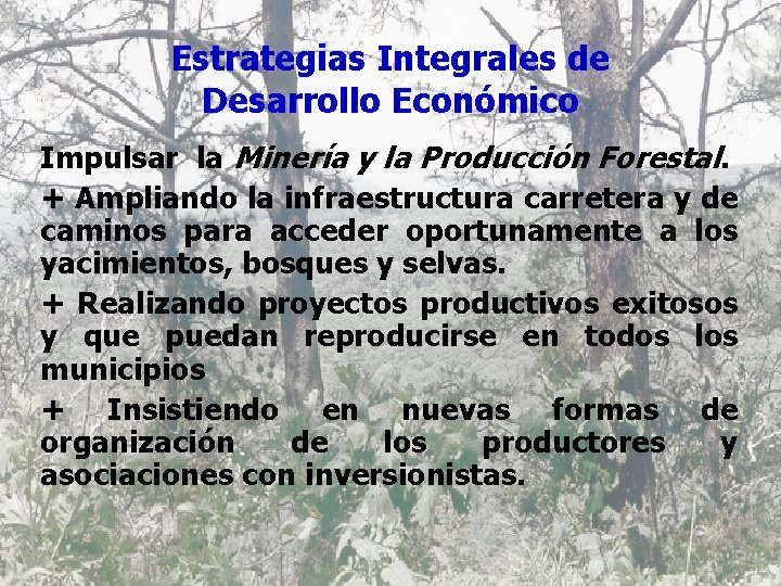 Estrategias Integrales de Desarrollo Económico Impulsar la Minería y la Producción Forestal. + Ampliando