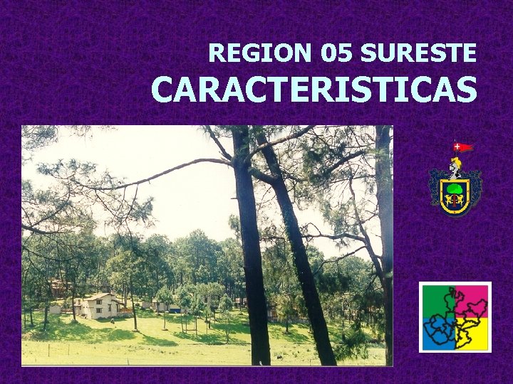 REGION 05 SURESTE CARACTERISTICAS 