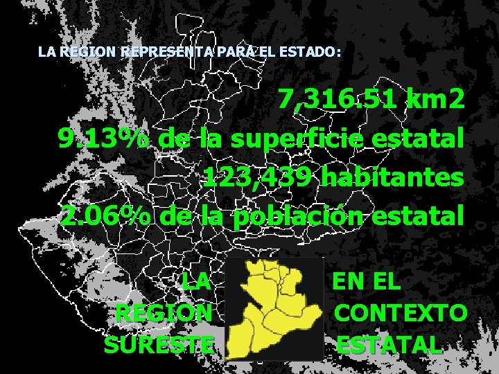 LA REGION REPRESENTA PARA EL ESTADO: 7, 316. 51 km 2 9. 13% de