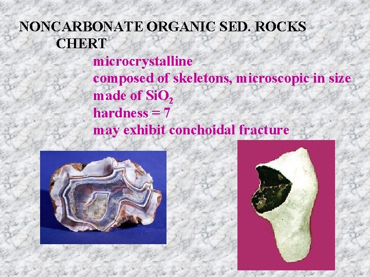 NONCARBONATE ORGANIC SED. ROCKS CHERT microcrystalline composed of skeletons, microscopic in size made of