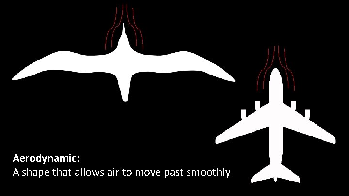 Aerodynamic: A shape that allows air to move past smoothly 