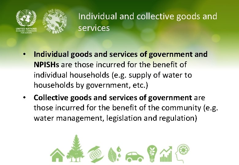 Individual and collective goods and services • Individual goods and services of government and