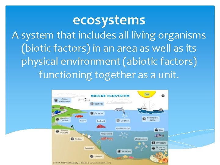 ecosystems A system that includes all living organisms (biotic factors) in an area as