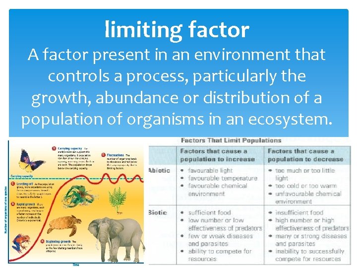 limiting factor A factor present in an environment that controls a process, particularly the
