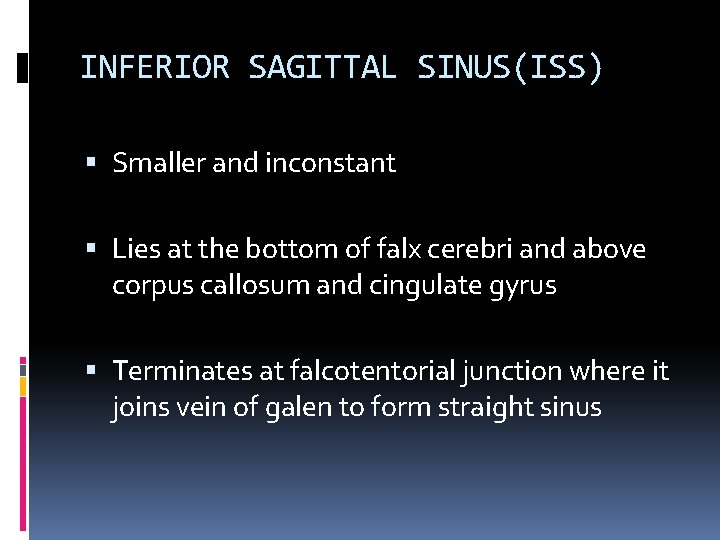 INFERIOR SAGITTAL SINUS(ISS) Smaller and inconstant Lies at the bottom of falx cerebri and