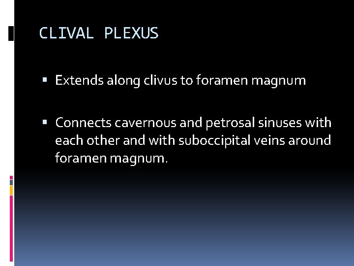 CLIVAL PLEXUS Extends along clivus to foramen magnum Connects cavernous and petrosal sinuses with