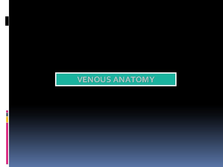 VENOUS ANATOMY 