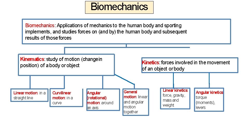 Biomechanics: Applications of mechanics to the human body and sporting implements, and studies forces Biomechanics: Applications of mechanics to the human body and sporting implements, and studies forces