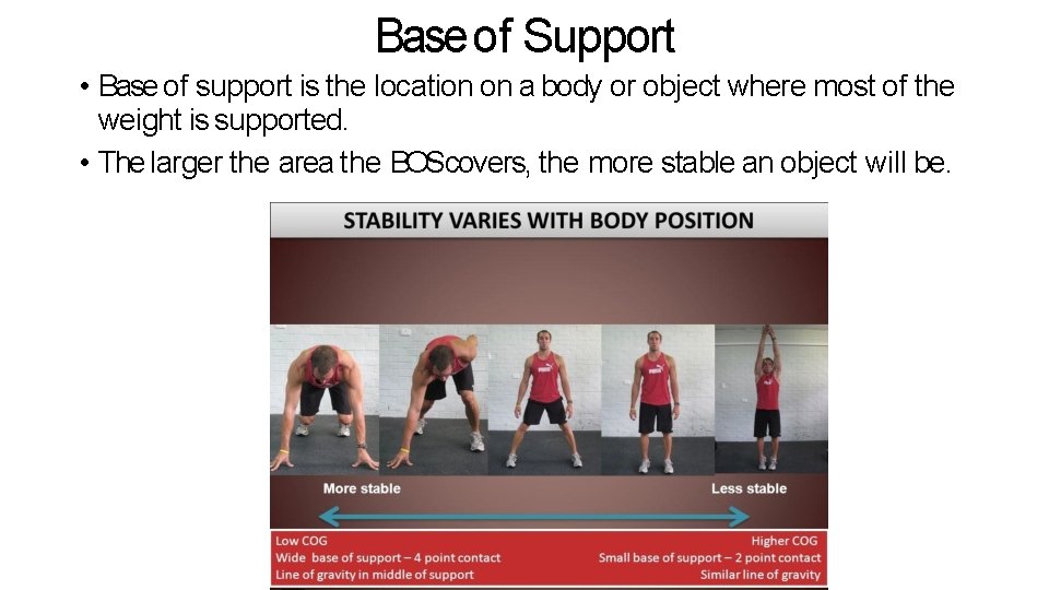 Base of Support • Base of support is the location on a body or Base of Support • Base of support is the location on a body or