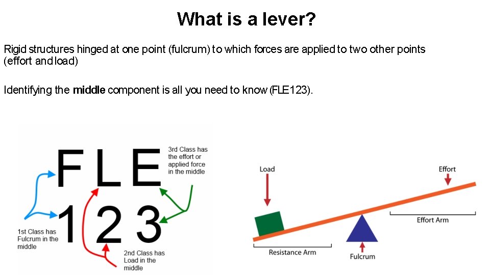 What is a lever? Rigid structures hinged at one point (fulcrum) to which forces What is a lever? Rigid structures hinged at one point (fulcrum) to which forces