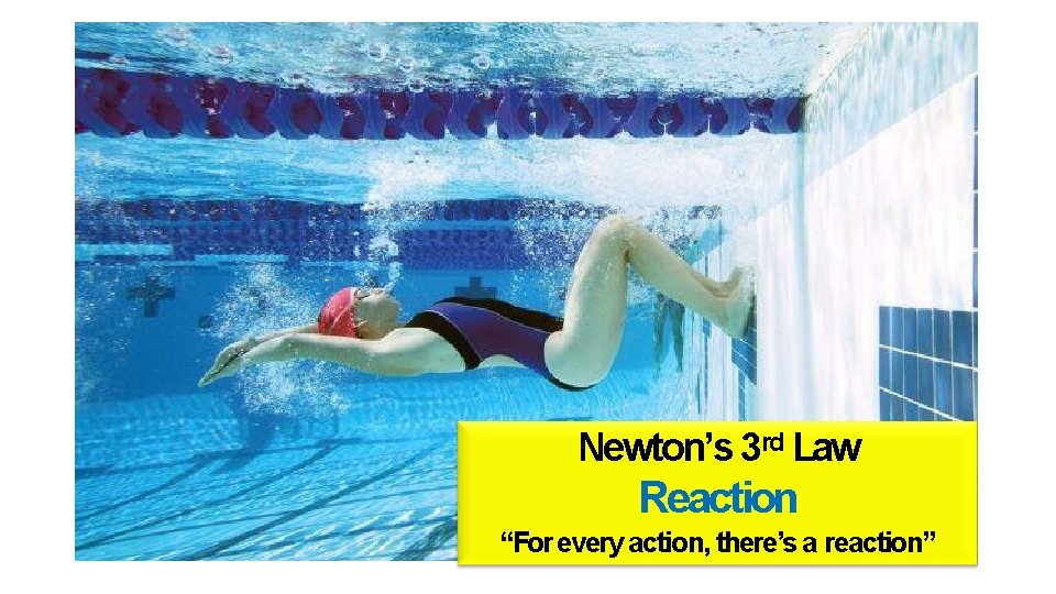 Newton’s 3 rd Law Reaction “For every action, there’s a reaction” Newton’s 3 rd Law Reaction “For every action, there’s a reaction”
