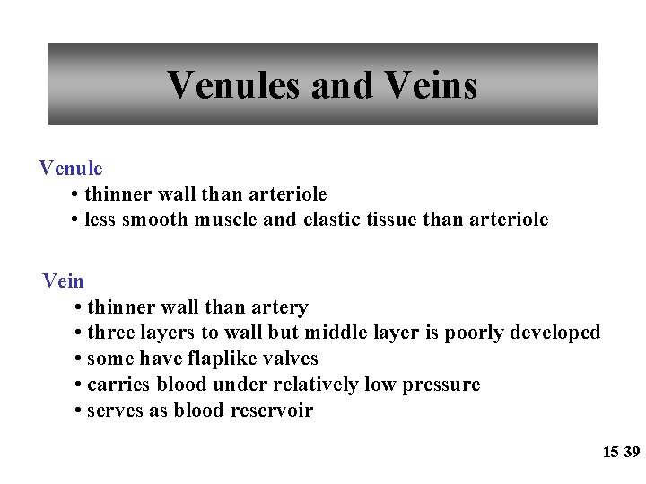Venules and Veins Venule • thinner wall than arteriole • less smooth muscle and