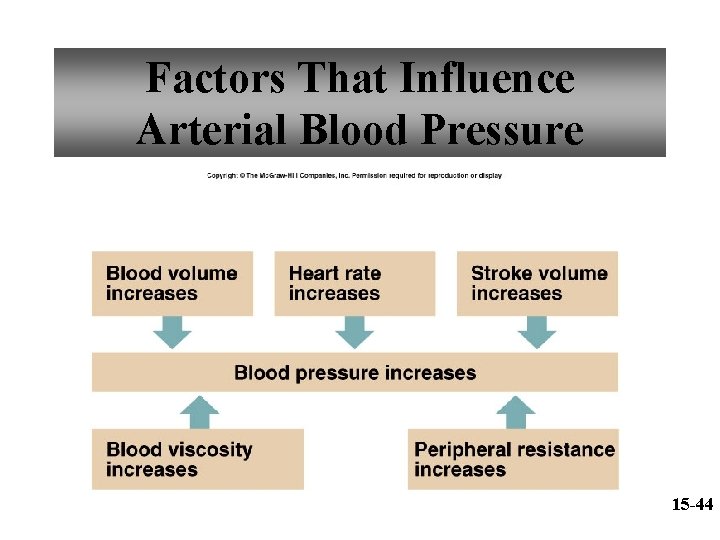 Factors That Influence Arterial Blood Pressure 15 -44 