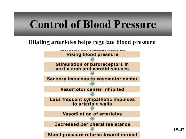 Control of Blood Pressure Dilating arterioles helps regulate blood pressure 15 -47 