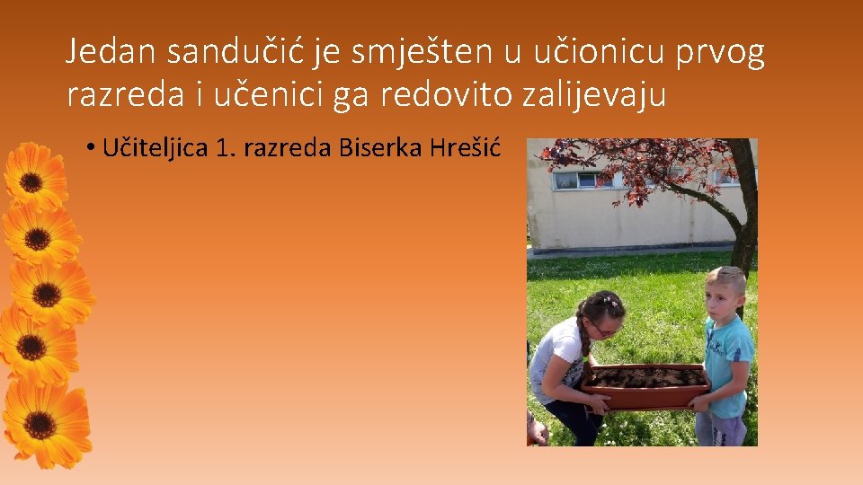 Jedan sandučić je smješten u učionicu prvog razreda i učenici ga redovito zalijevaju •