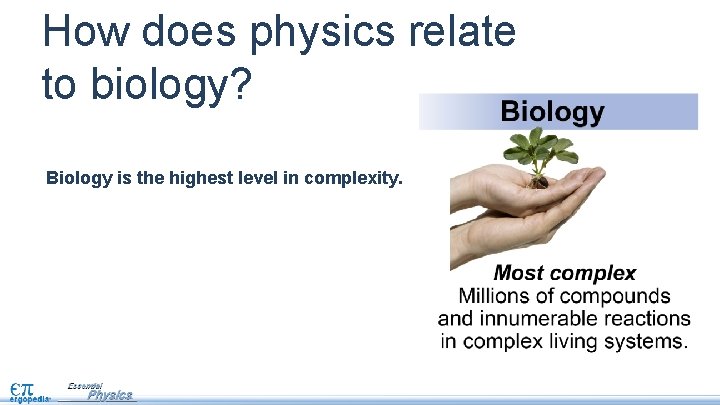 How does physics relate to biology? Biology is the highest level in complexity. 