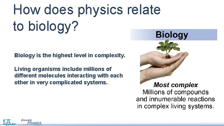 How does physics relate to biology? Biology is the highest level in complexity. Living