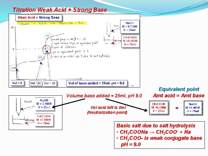 Titration Weak Acid + Strong Base Volume base added = 25 ml, p. H