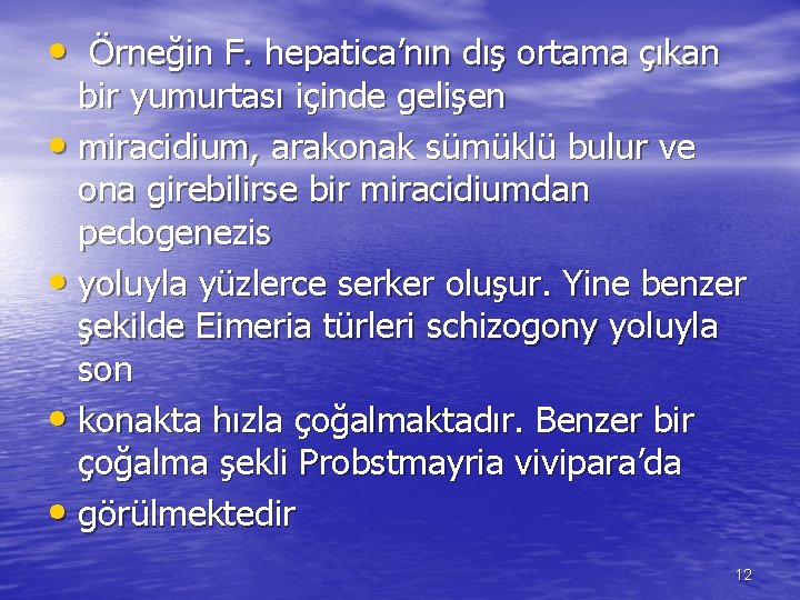  • Örneğin F. hepatica’nın dış ortama çıkan bir yumurtası içinde gelişen • miracidium,