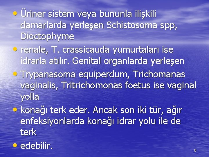  • Üriner sistem veya bununla ilişkili damarlarda yerleşen Schistosoma spp, Dioctophyme • renale,