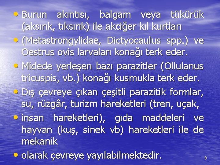  • Burun akıntısı, balgam veya tükürük (aksırık, tıksırık) ile akciğer kıl kurtları •