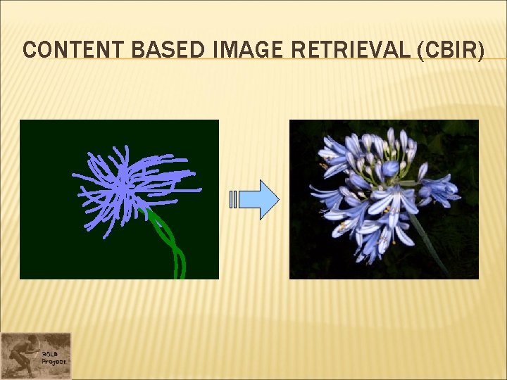 CONTENT BASED IMAGE RETRIEVAL (CBIR) 