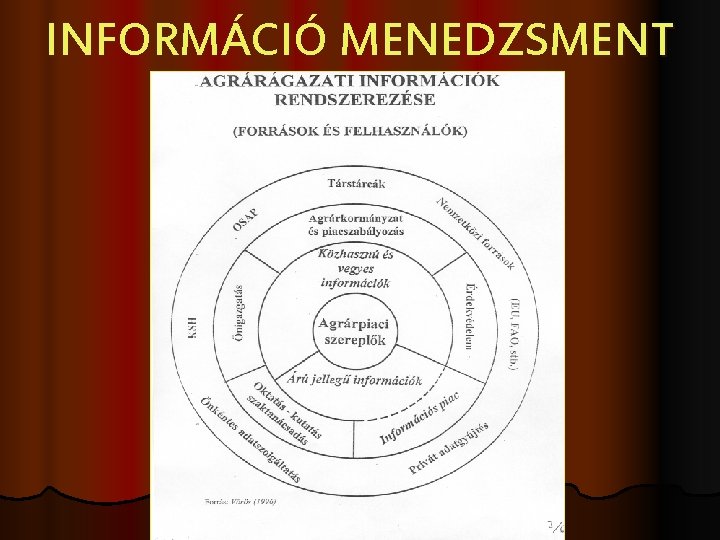 INFORMÁCIÓ MENEDZSMENT 