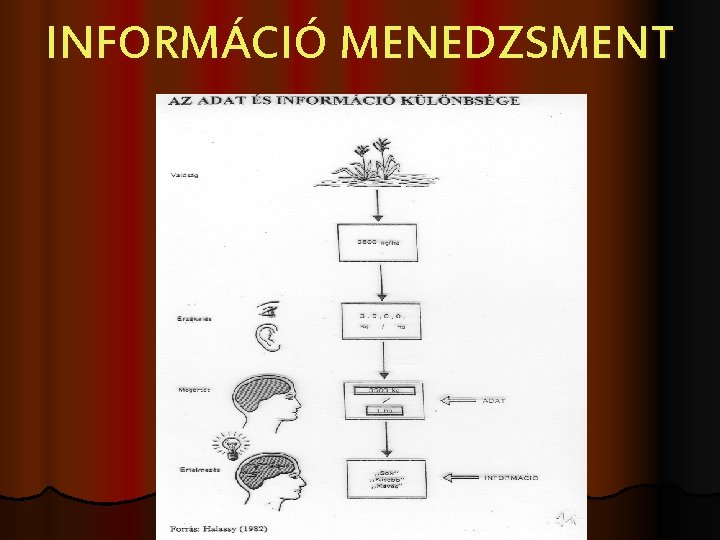 INFORMÁCIÓ MENEDZSMENT 