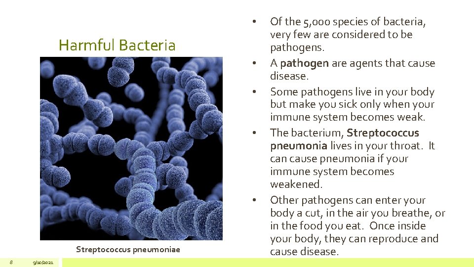  • Harmful Bacteria • • Streptococcus pneumoniae 8 9/10/2021 Of the 5, 000