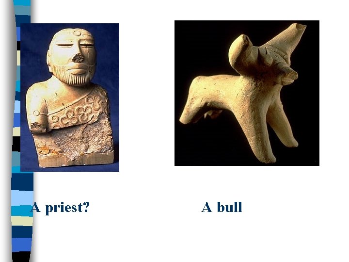 A priest? A bull 