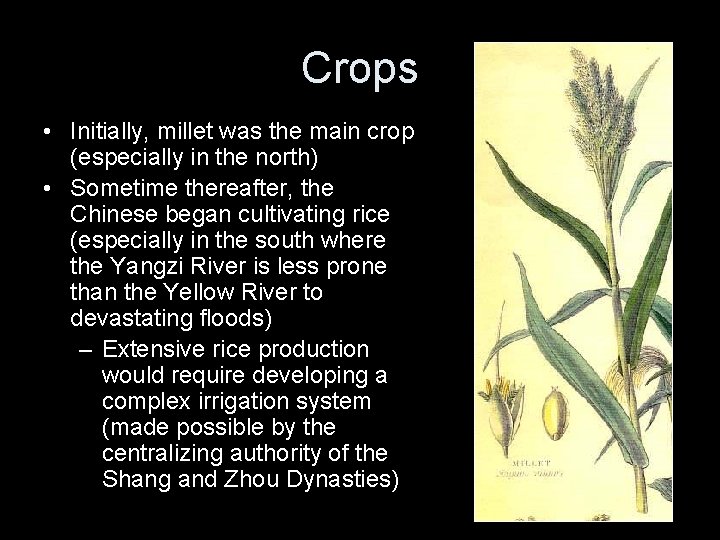 Crops • Initially, millet was the main crop (especially in the north) • Sometime