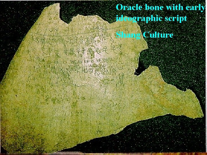Oracle bone with early ideographic script Shang Culture 