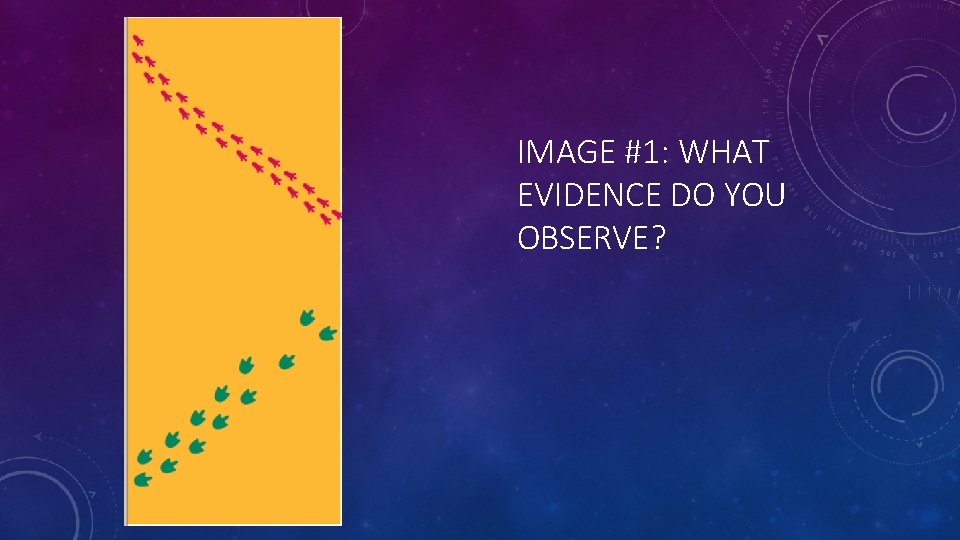 IMAGE #1: WHAT EVIDENCE DO YOU OBSERVE? 