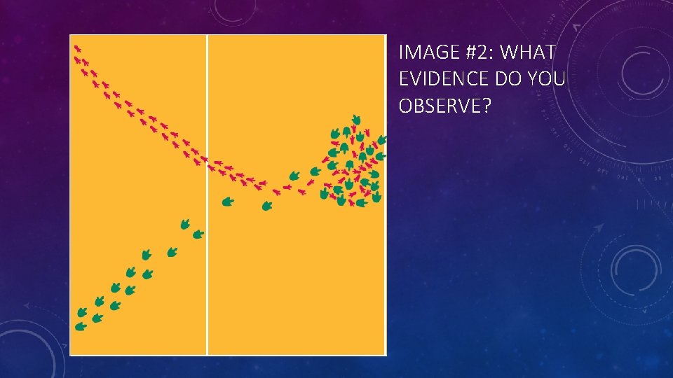 IMAGE #2: WHAT EVIDENCE DO YOU OBSERVE? 