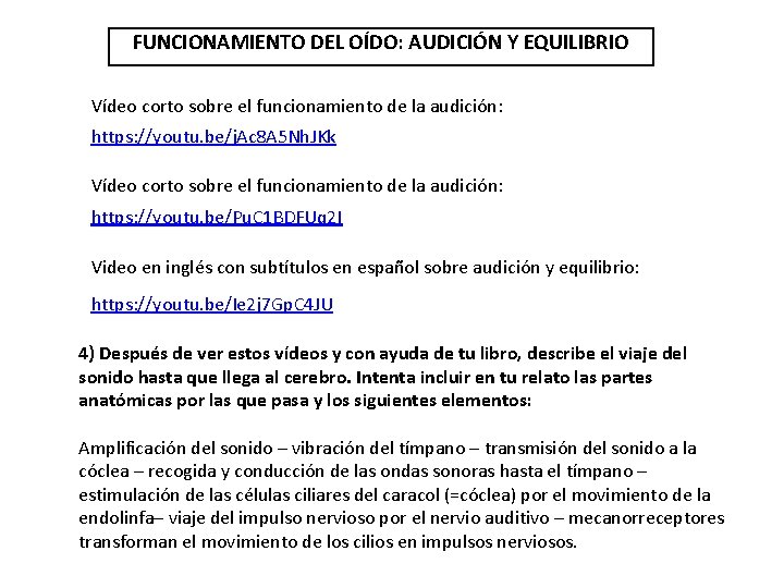 FUNCIONAMIENTO DEL OÍDO: AUDICIÓN Y EQUILIBRIO Vídeo corto sobre el funcionamiento de la audición: