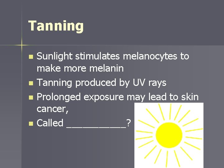 Tanning Sunlight stimulates melanocytes to make more melanin n Tanning produced by UV rays