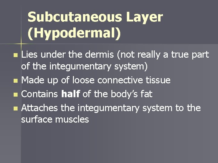Subcutaneous Layer (Hypodermal) Lies under the dermis (not really a true part of the