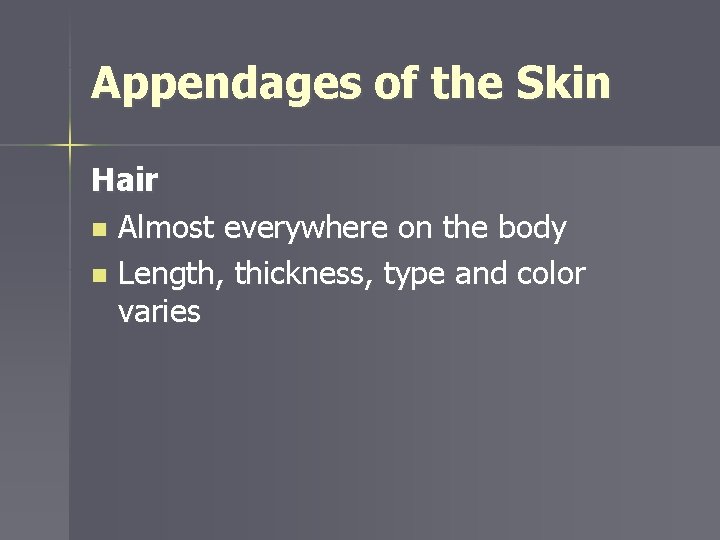 Appendages of the Skin Hair n Almost everywhere on the body n Length, thickness,