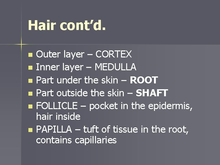Hair cont’d. Outer layer – CORTEX n Inner layer – MEDULLA n Part under