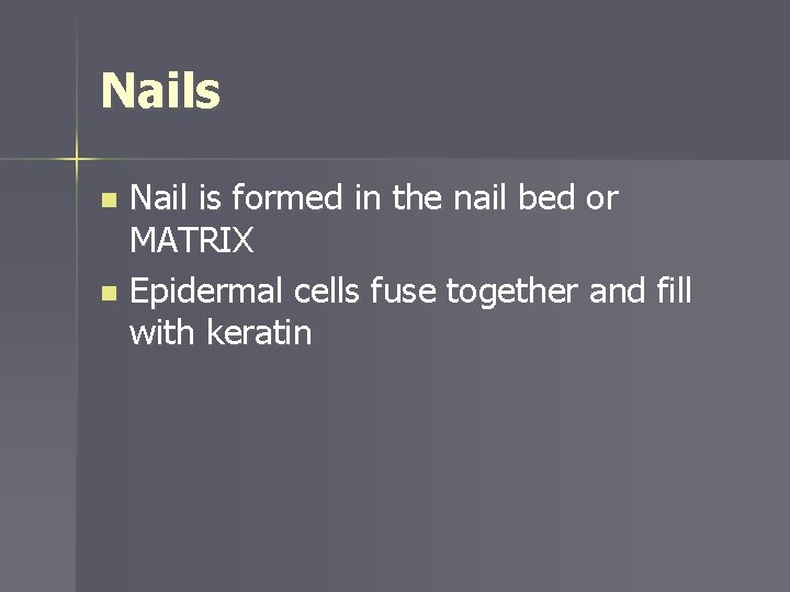 Nails Nail is formed in the nail bed or MATRIX n Epidermal cells fuse